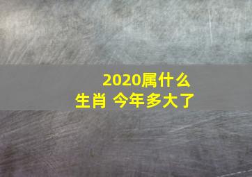 2020属什么生肖 今年多大了